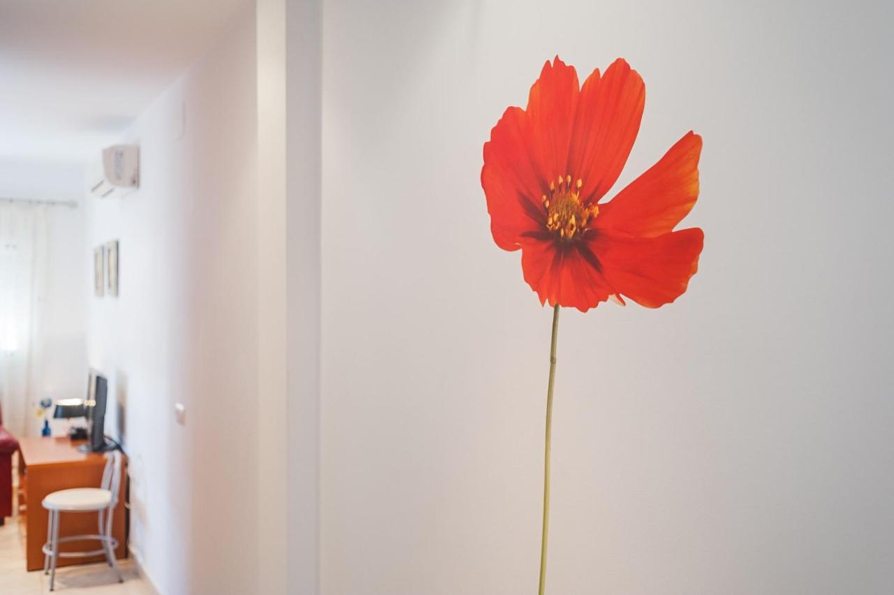 Ferienwohnung Piso Sebastian 2 Alto Solo Familias Conil De La Frontera Exterior foto